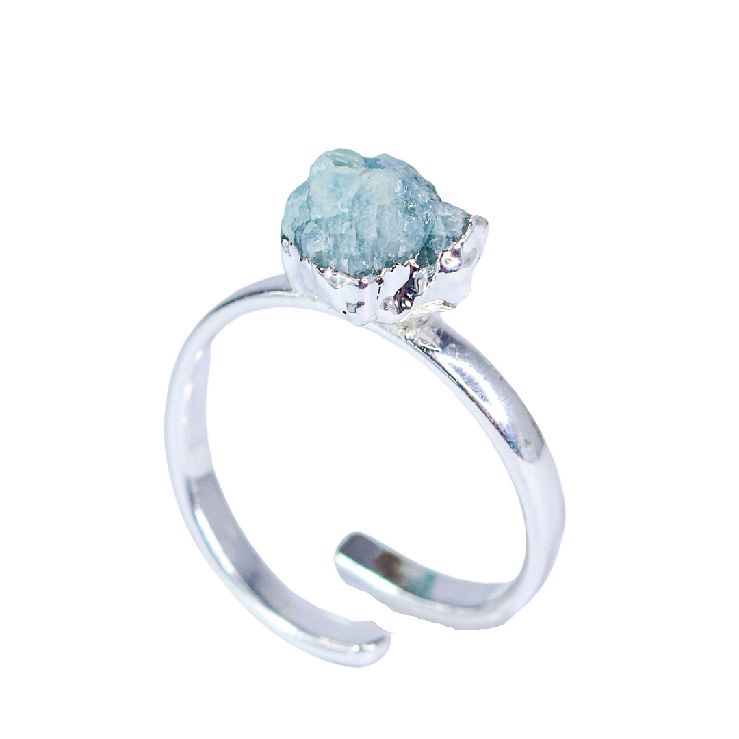 Ring Zodiac Sign (Pisces)