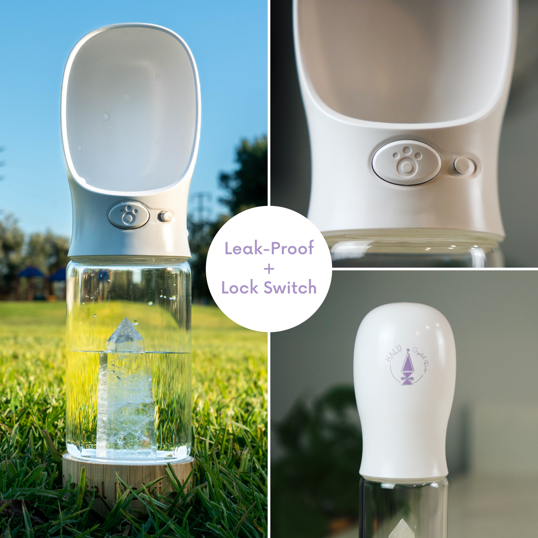 Pet Water Bottle