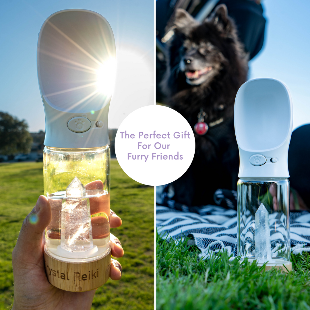 Pet Water Bottle