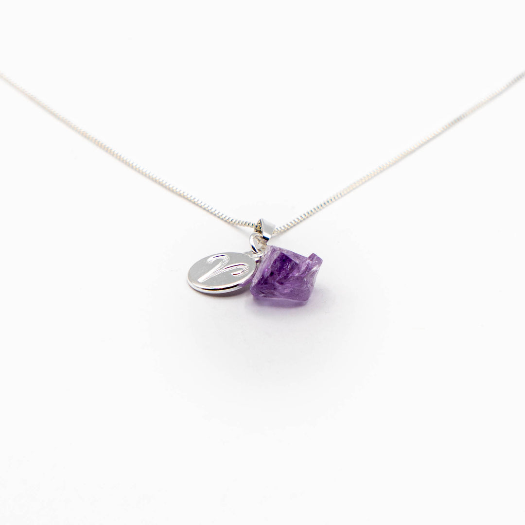 Necklace Zodiac Sign (Aries)