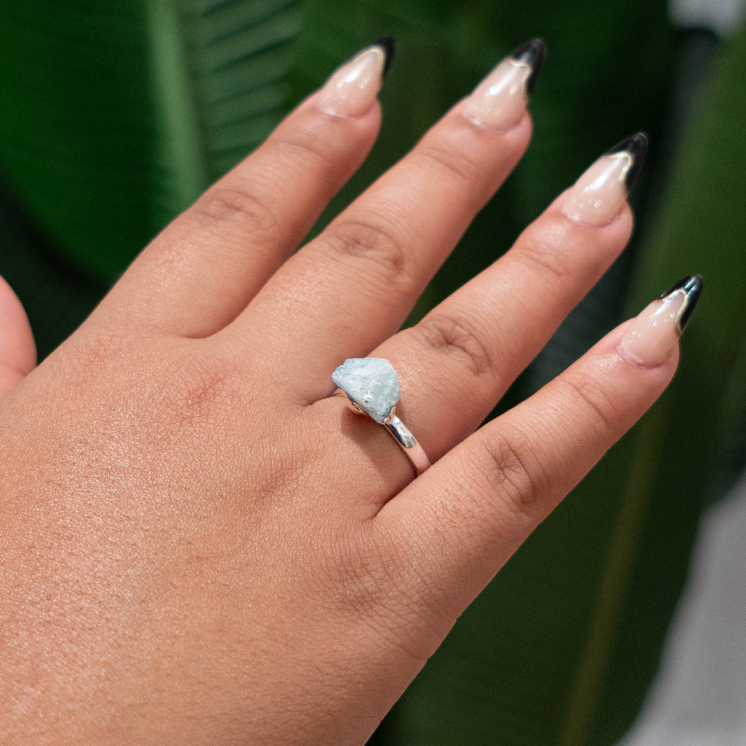Ring Zodiac Sign (Pisces)