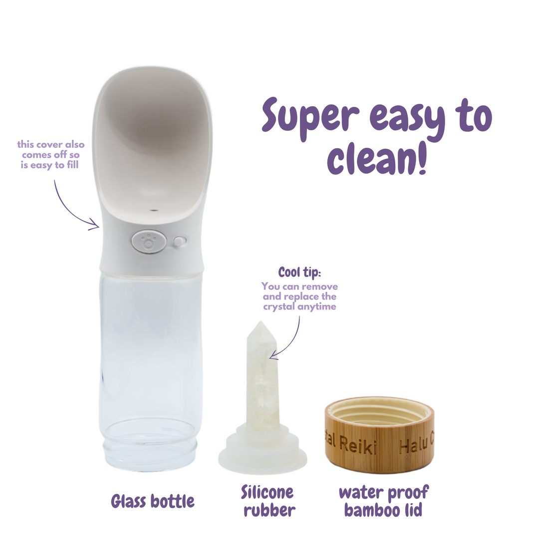 Pet Water Bottle