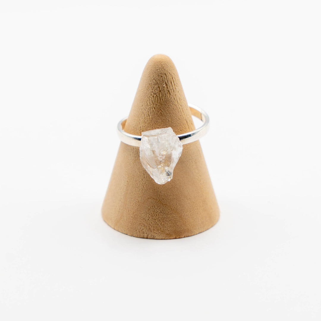 Ring Zodiac Sign (Aquarius)