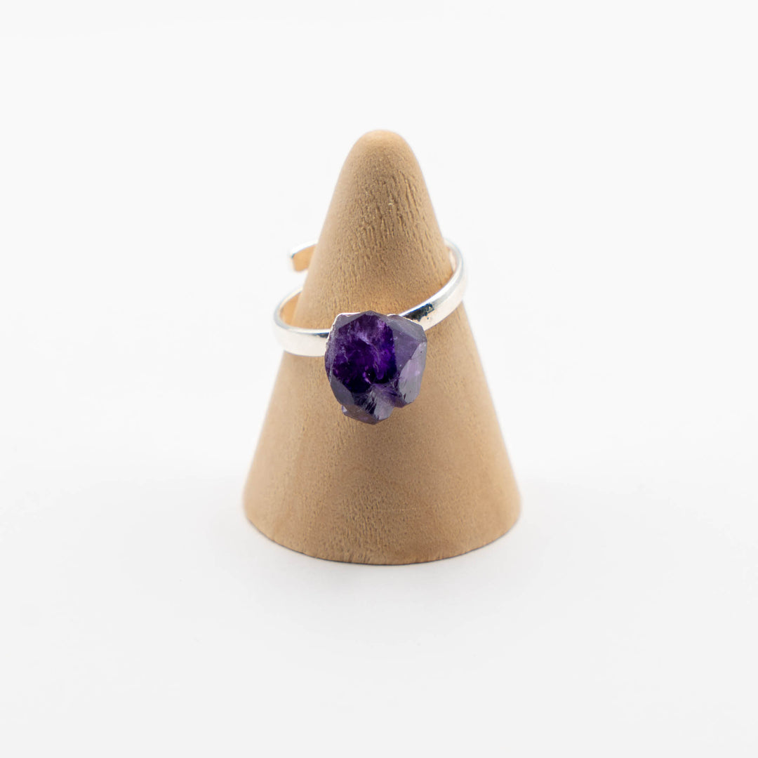 Ring Zodiac Sign (Aries)