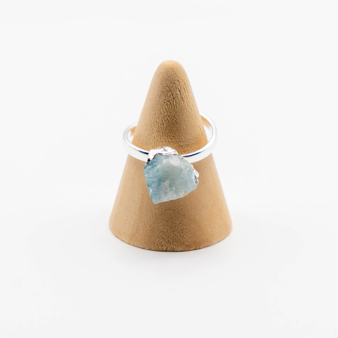 Ring Zodiac Sign (Pisces)