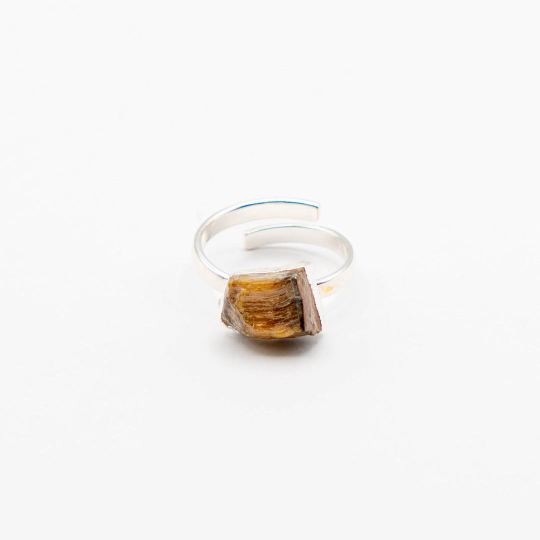 Ring Zodiac Sign (Leo)