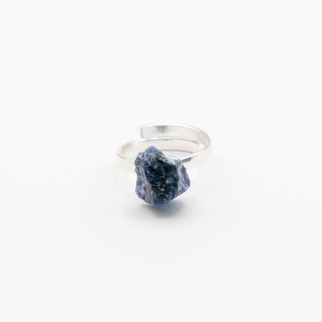 Ring Zodiac Sign (Sagittarius)