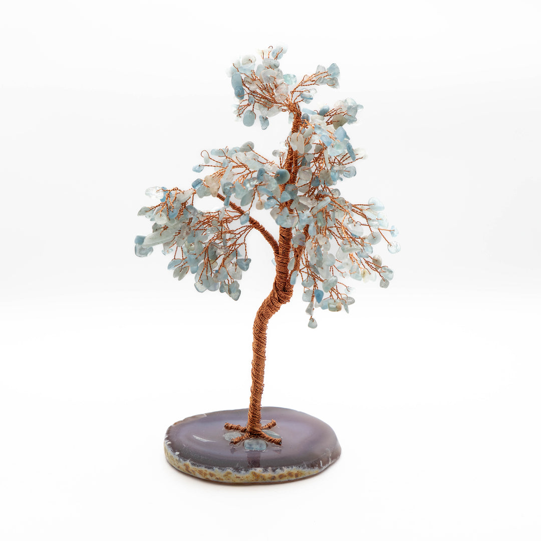 Tree of Life