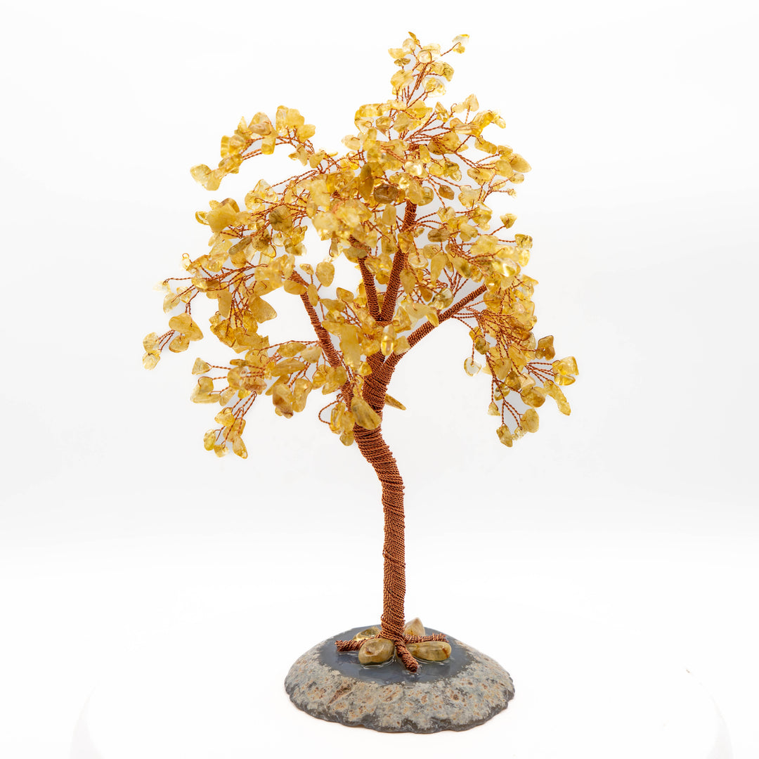 Tree of Life