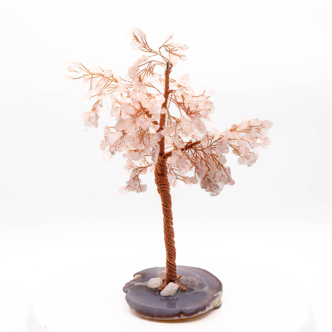 Tree of Life