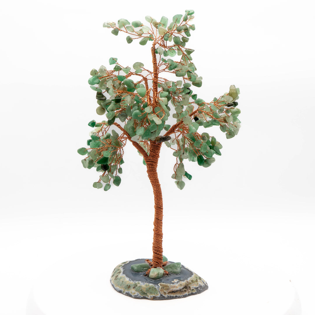 Tree of Life