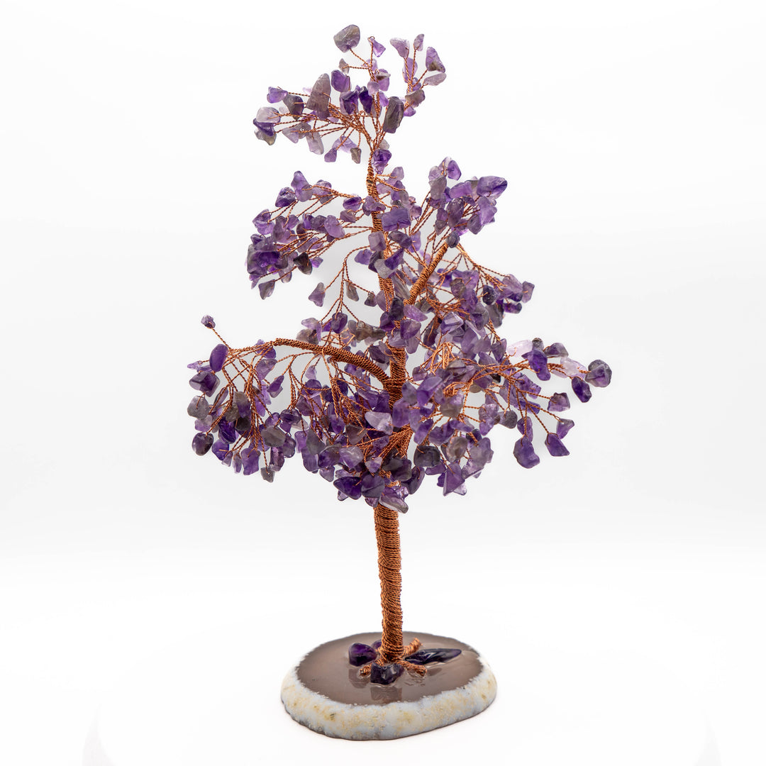 Tree of Life