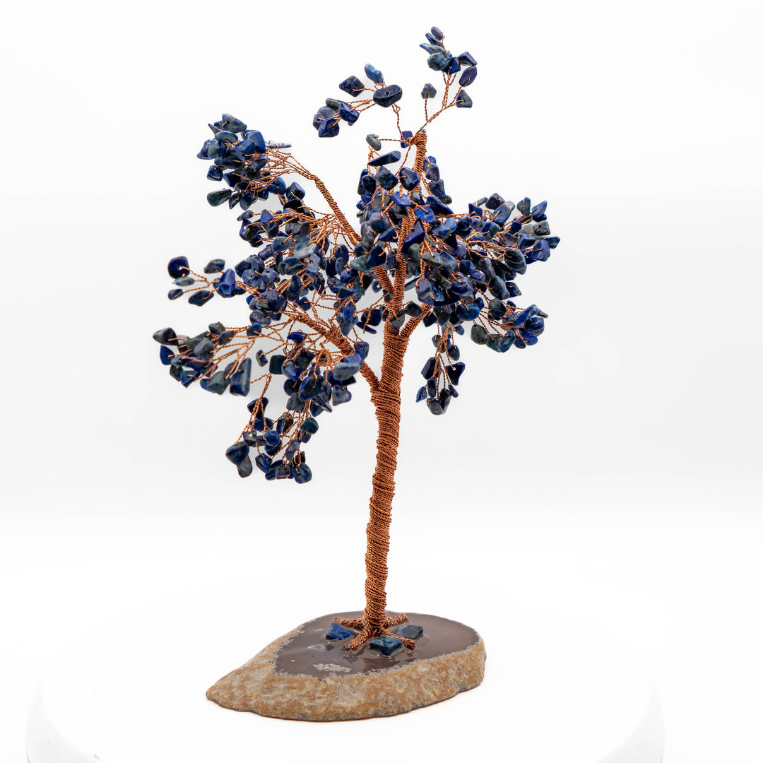 Tree of Life