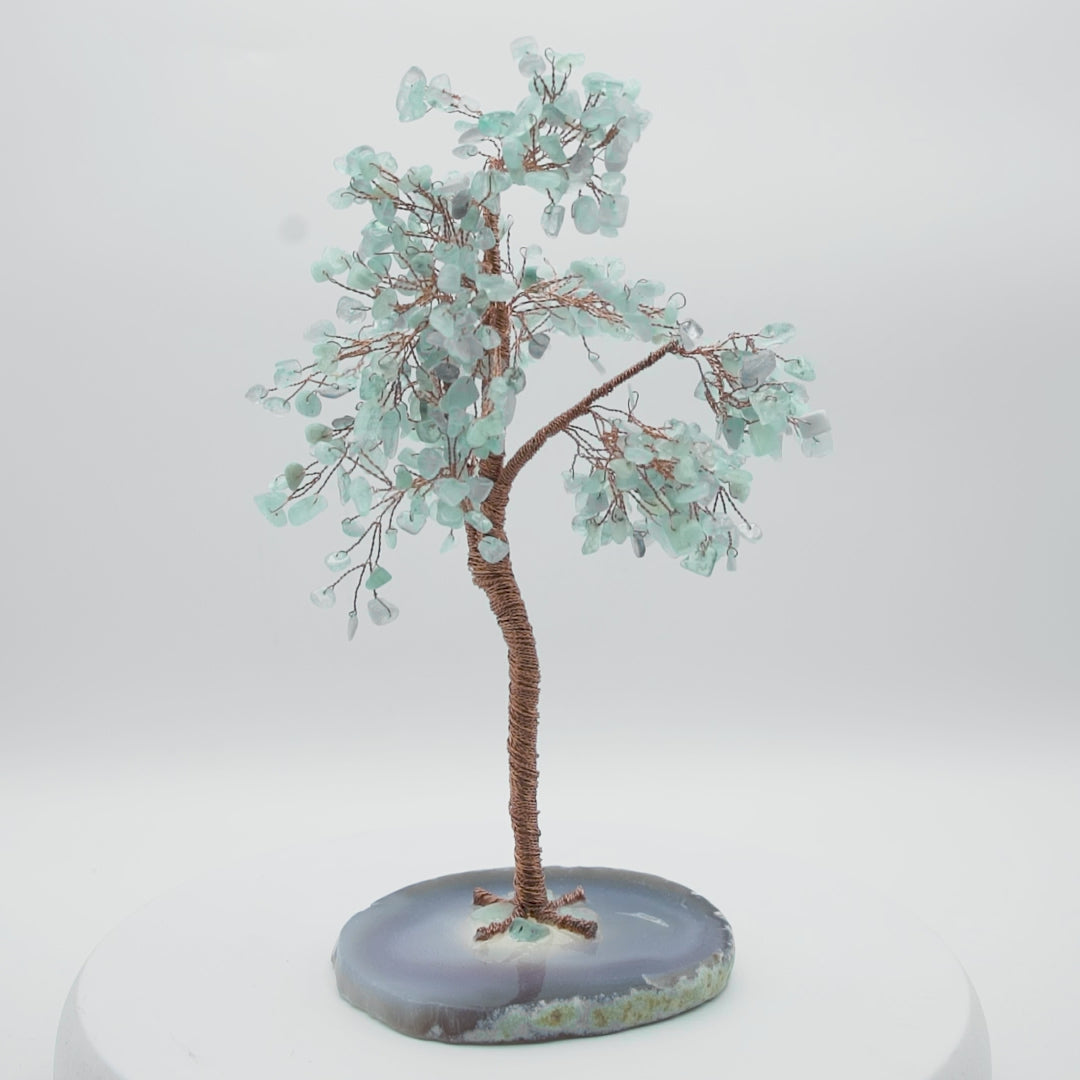 Tree of Life