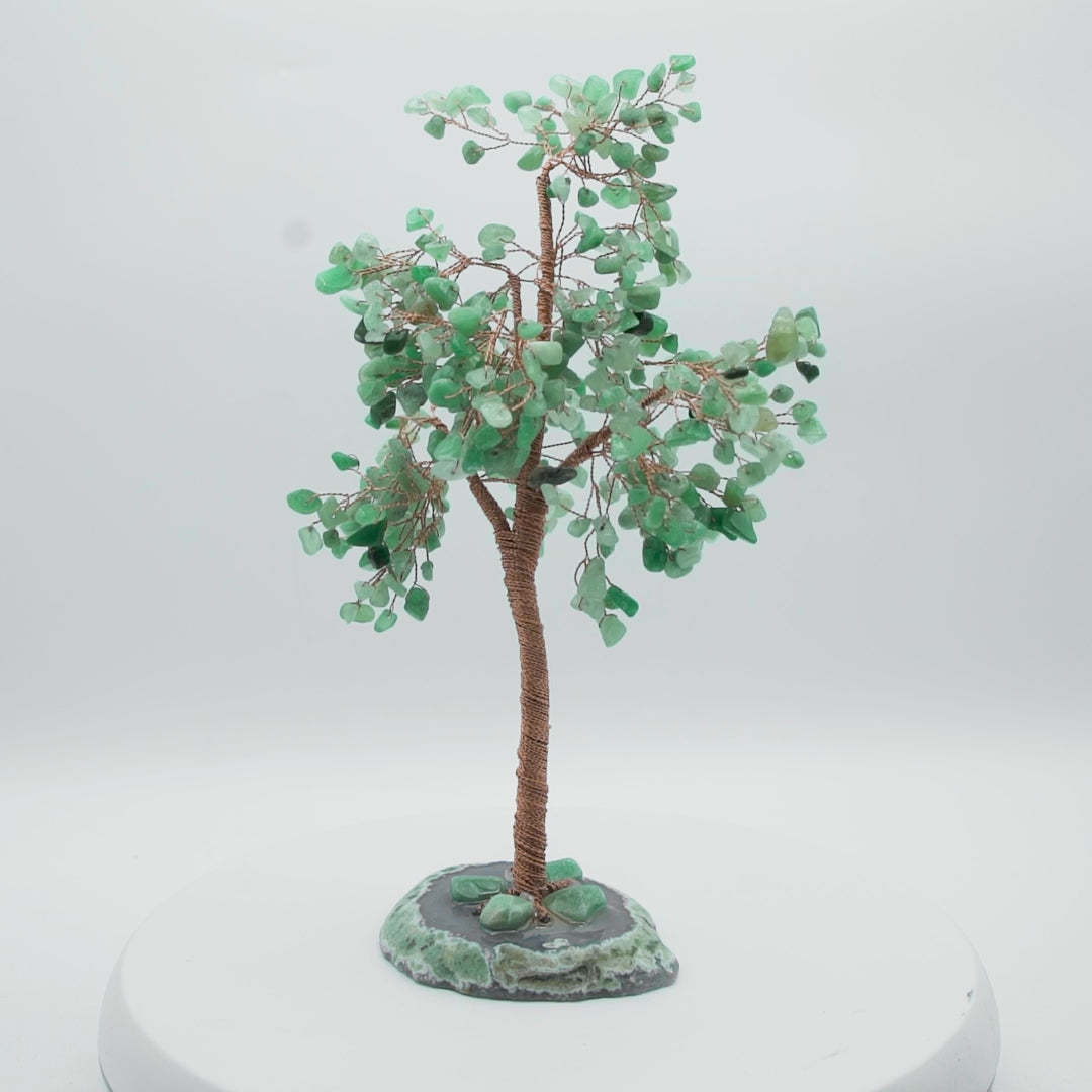 Tree of Life