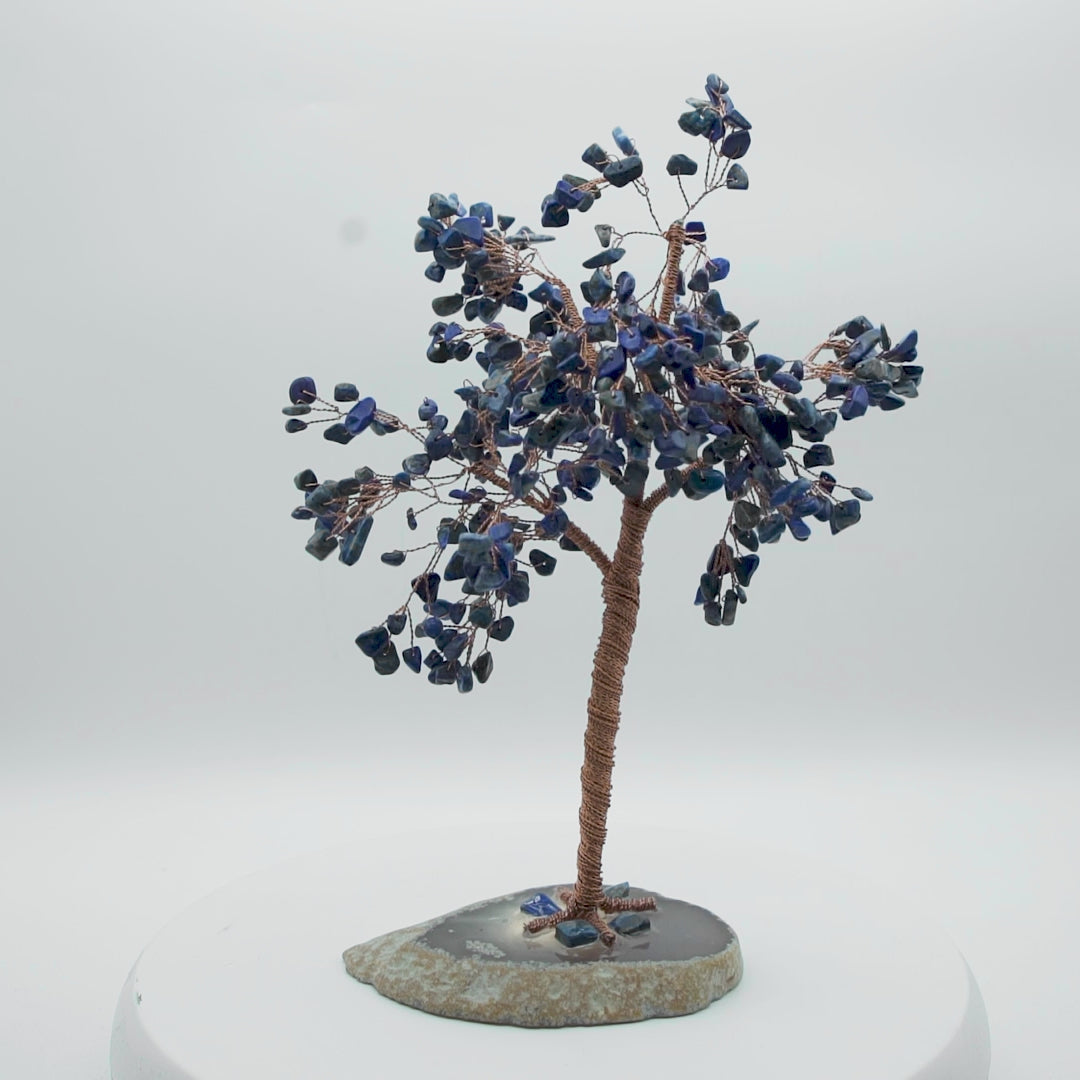 Tree of Life