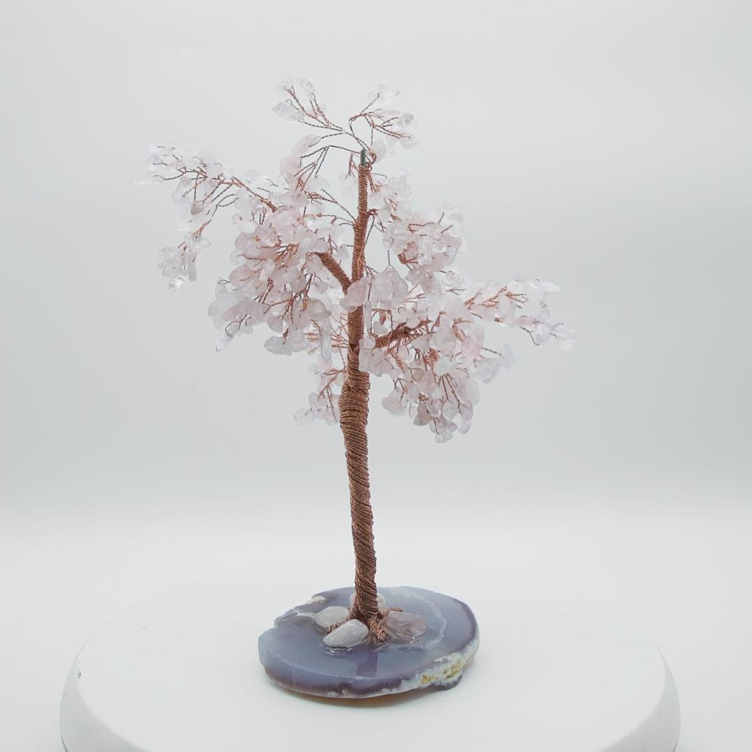 Tree of Life