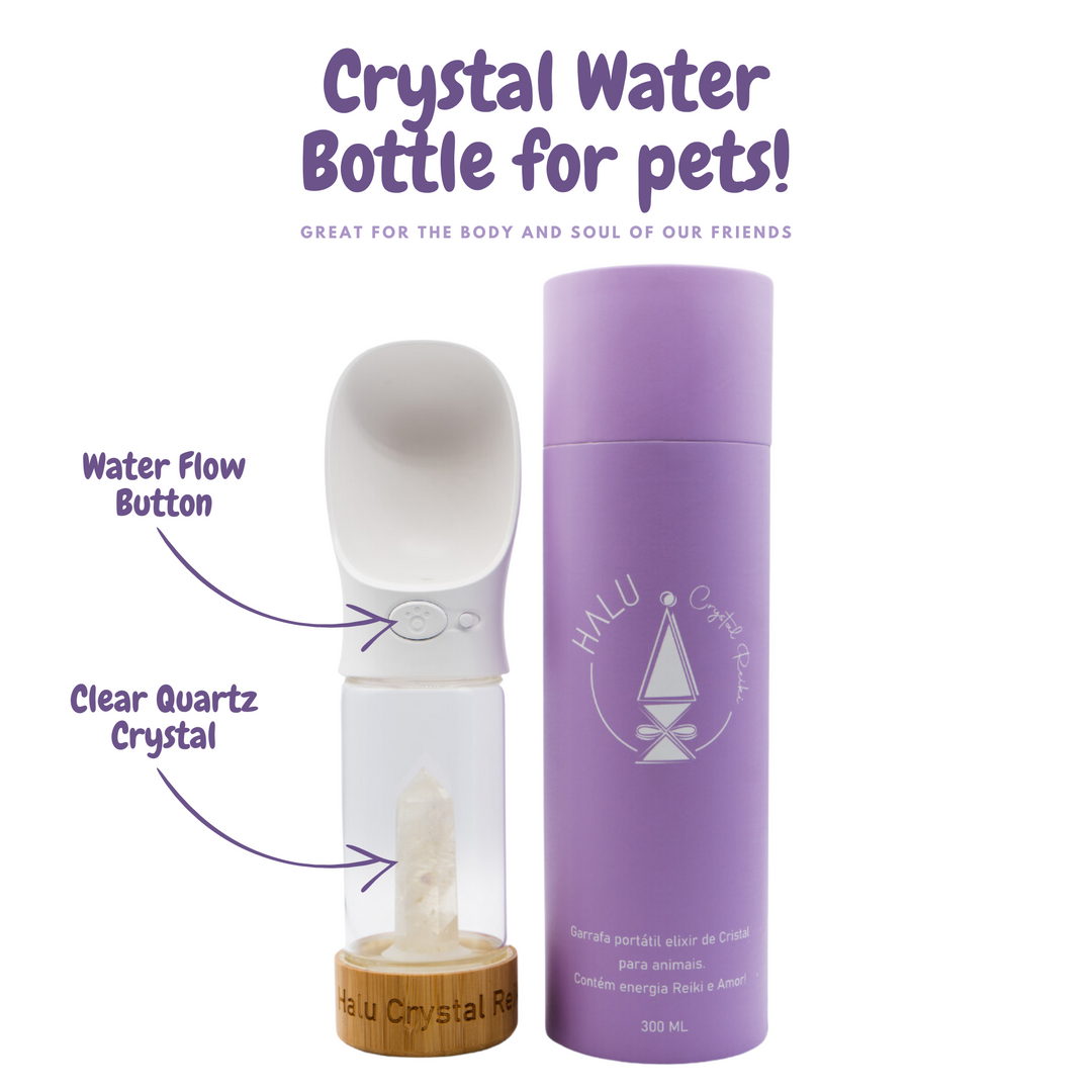 Pet Water Bottle