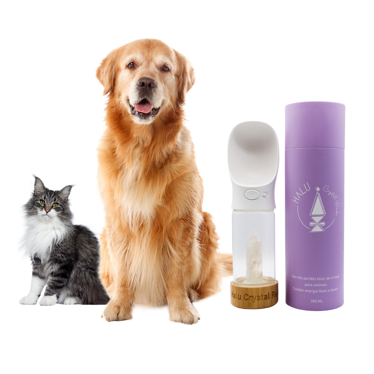 Pet