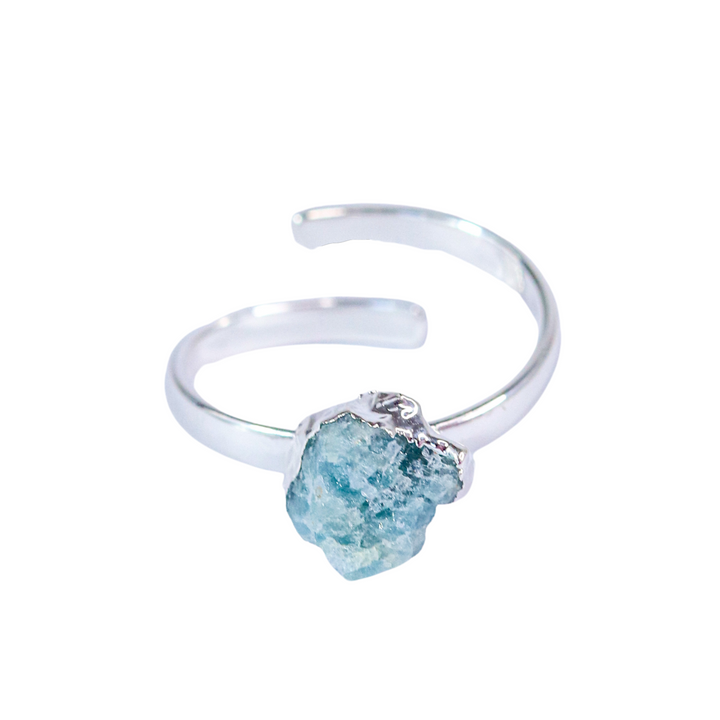 Ring Zodiac Sign (Pisces)
