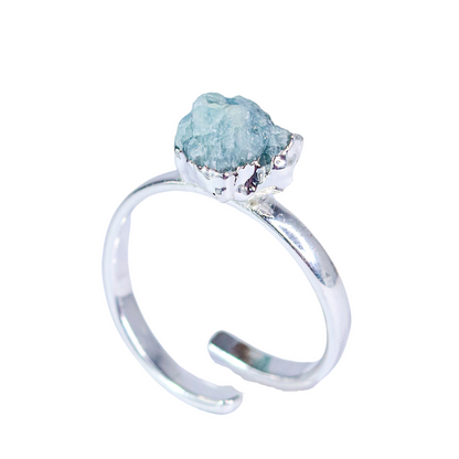 Ring Zodiac Sign (Pisces)