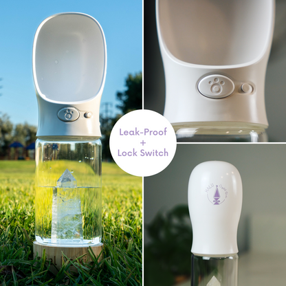 Pet Water Bottle