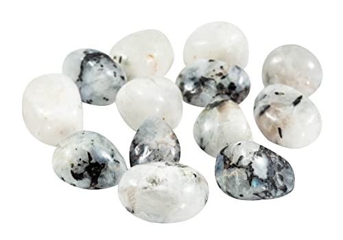 Rainbow Moonstone (Tumbled)