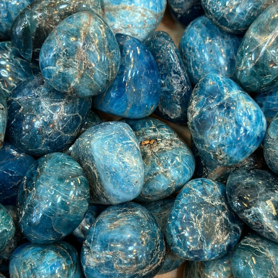 Blue Apatite (Tumbled)