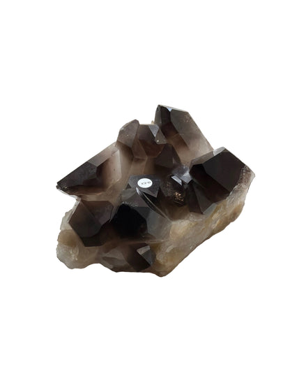 Smoky quartz (Cluster)