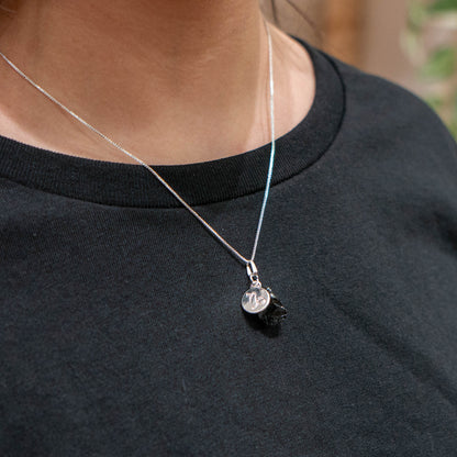 Necklace Zodiac Sign (Capricorn)