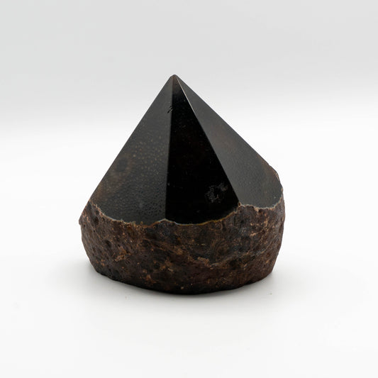 Black Agate (Generator Tip)