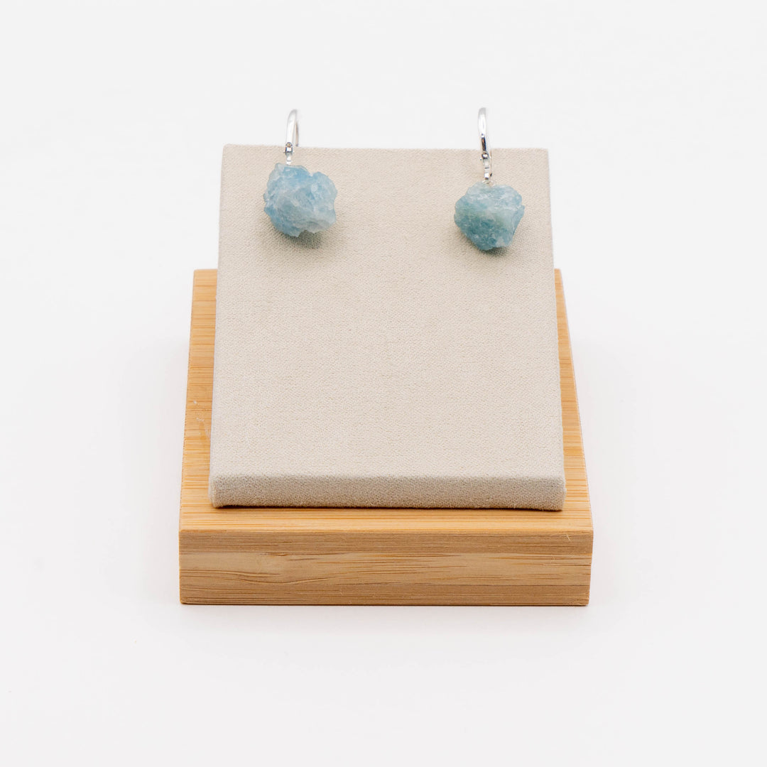 Earrings (Aquamarine)