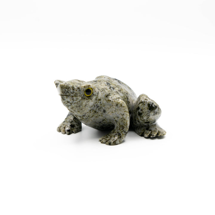 Tree Agate Frog