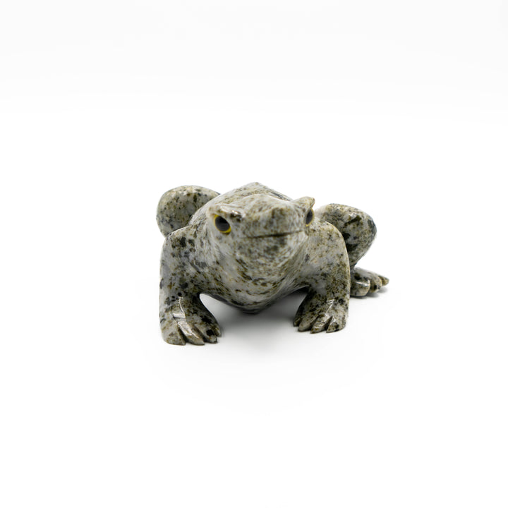 Tree Agate Frog