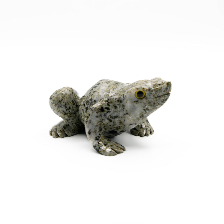 Tree Agate Frog