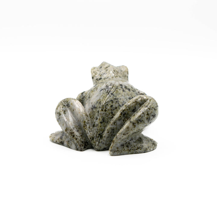 Tree Agate Frog