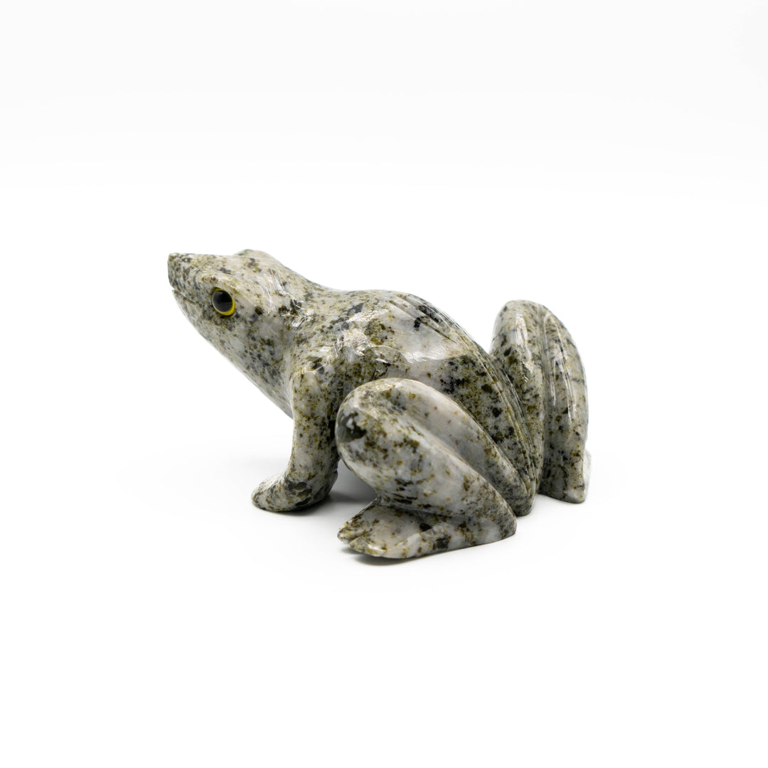 Tree Agate Frog