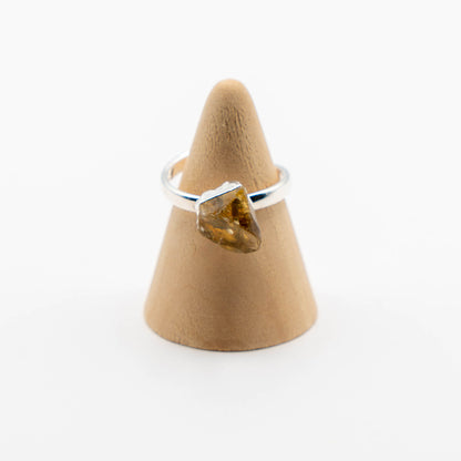 Ring Zodiac Sign (Gemini)