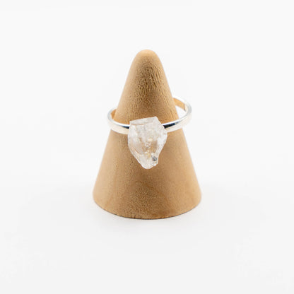 Ring Zodiac Sign (Aquarius)