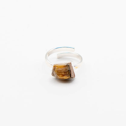 Ring Zodiac Sign (Leo)