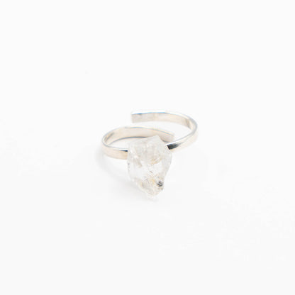 Ring Zodiac Sign (Aquarius)