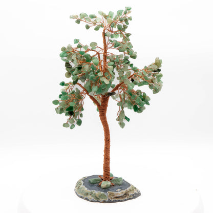 Tree of Life