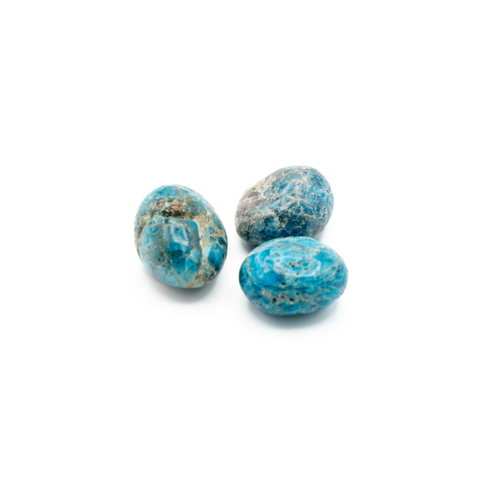 Blue Apatite (Tumbled)