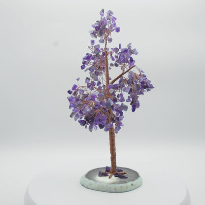 Tree of Life
