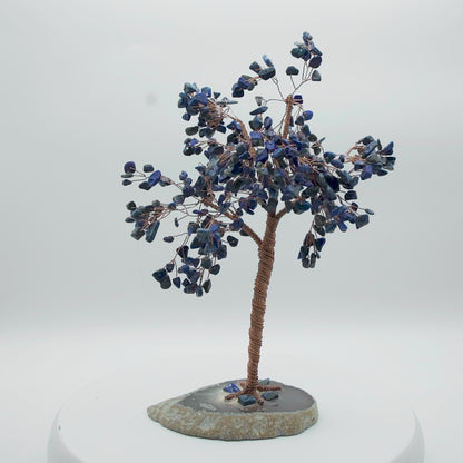 Tree of Life